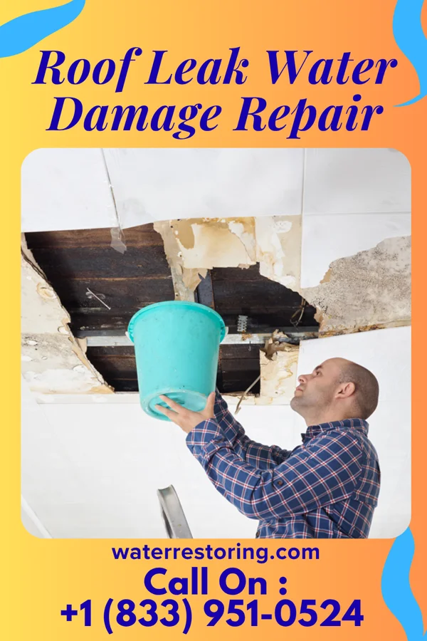 Roof Leak Water Damage Repair in Myersville, MD