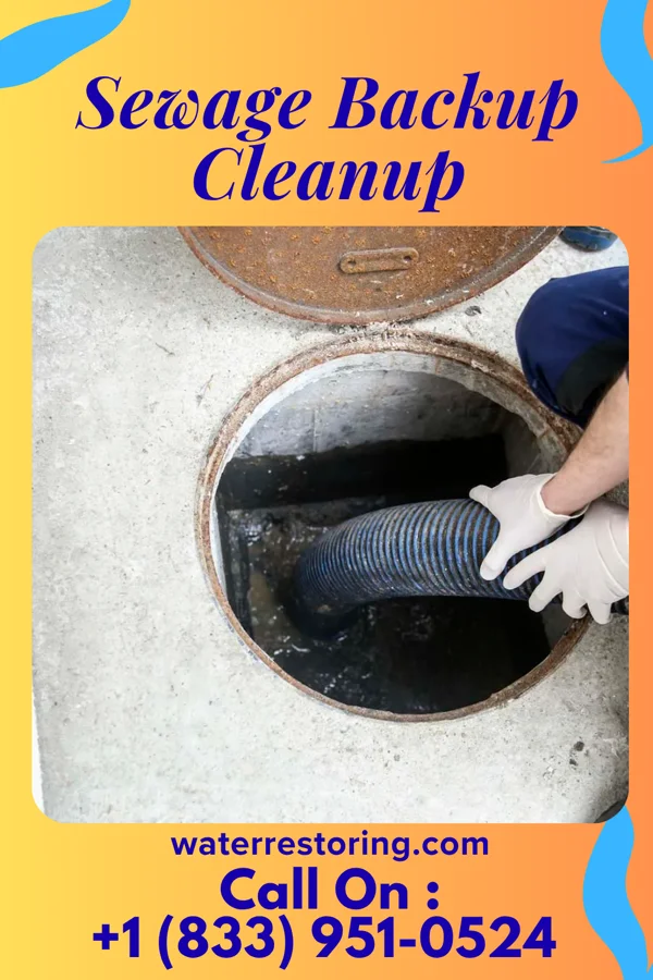 Sewage Backup Cleanup in Myersville, MD